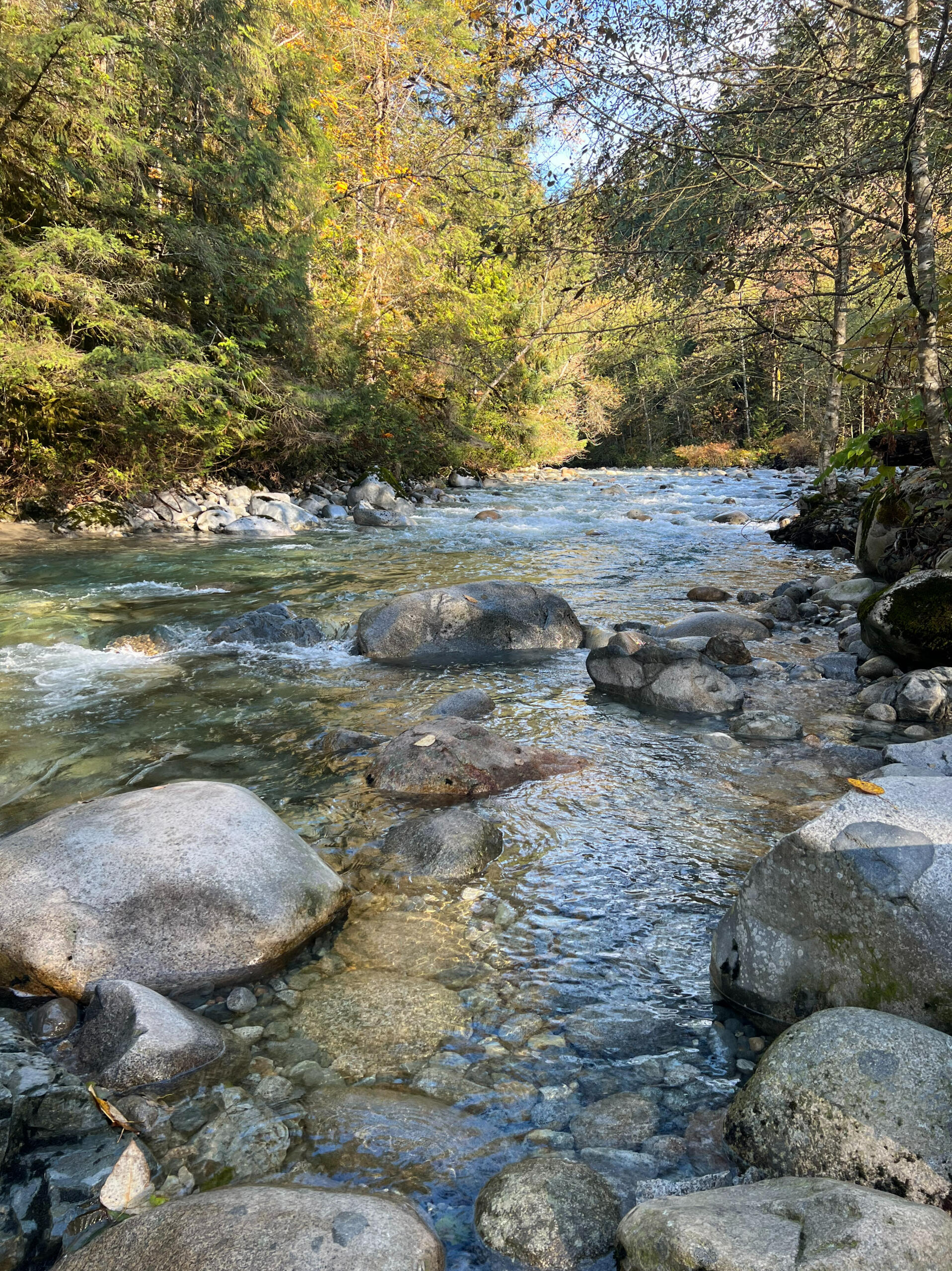 Lynn Creek, BC (called X̱á7elcha by the Squamish peoples, regarded as a place for purification ritual)
